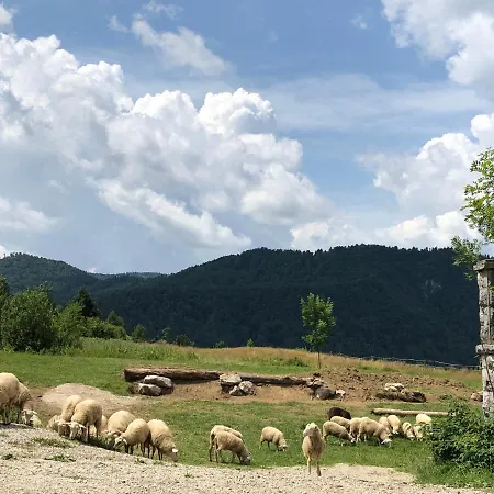 Mad Mountain Отель типа 