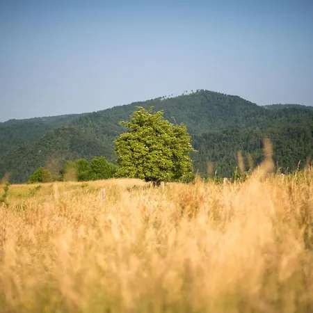 Mad Mountain Отель типа 