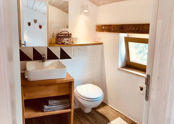 Mad Mountain Robidisce