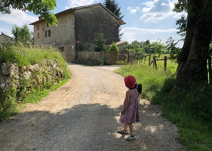 Mad Mountain Robidisce