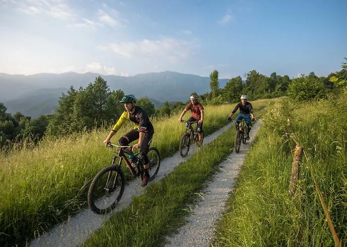 Mad Mountain Bed & Breakfast Robidisce