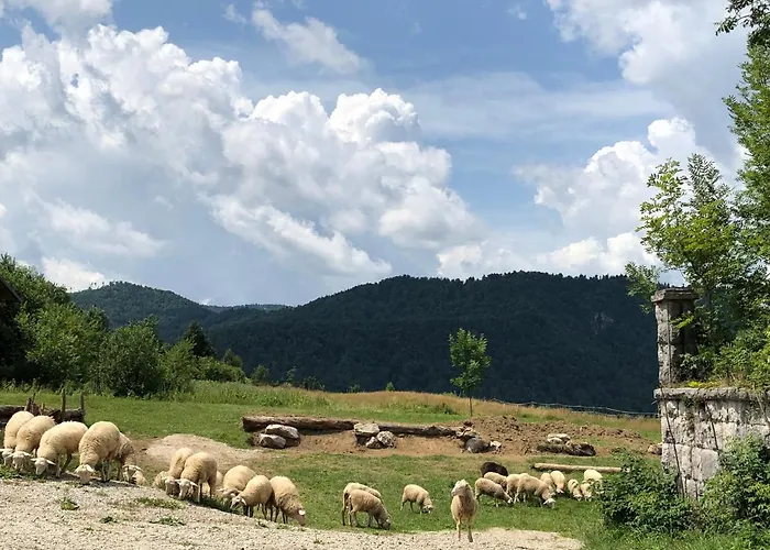 Mad Mountain Отель типа 