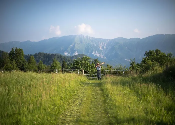 Bed & Breakfast Mad Mountain