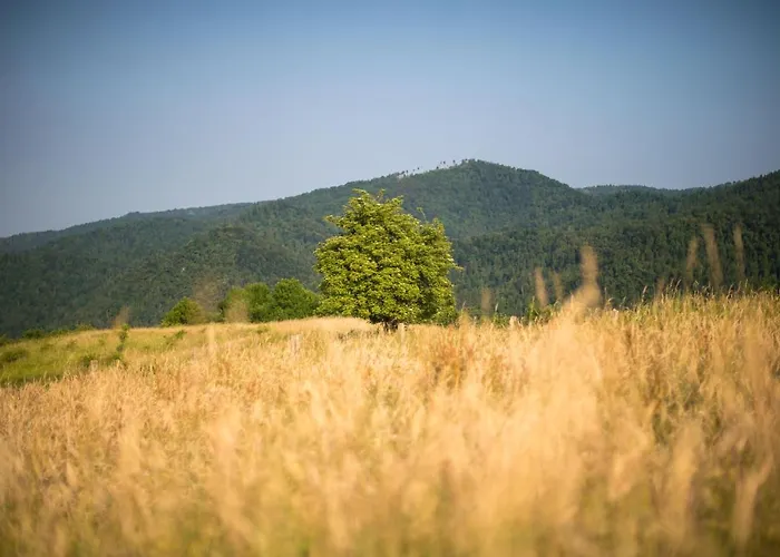 Mad Mountain Bed & Breakfast